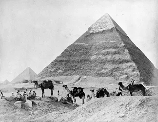 Una carovana di cammelli davanti alle piramidi di Giza, fine anni 1870
